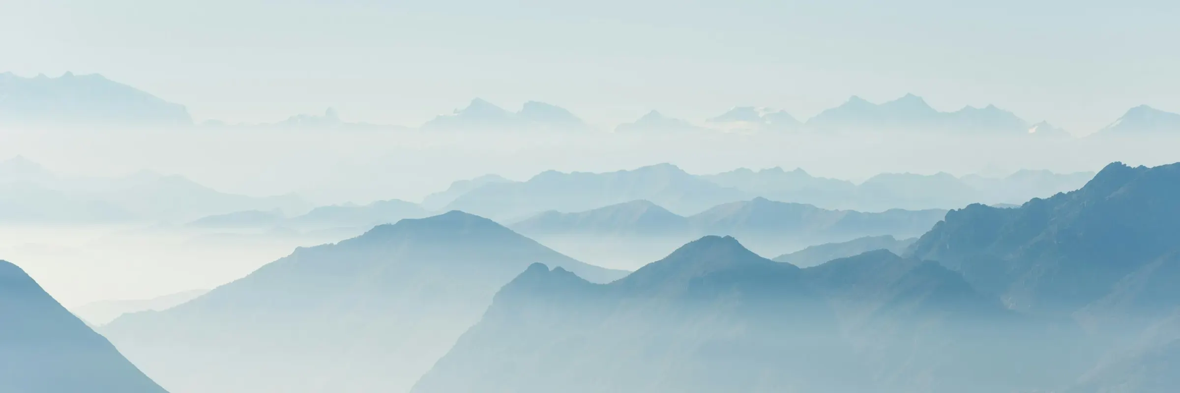 Timber & Natural Capital