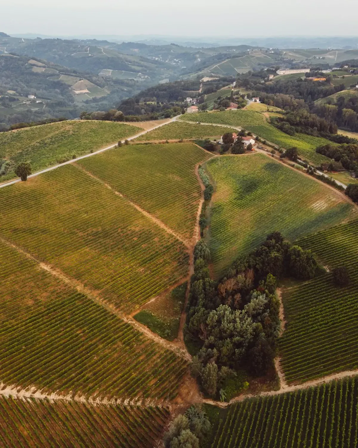Saint-Émilion Limestone Plateau Parcel